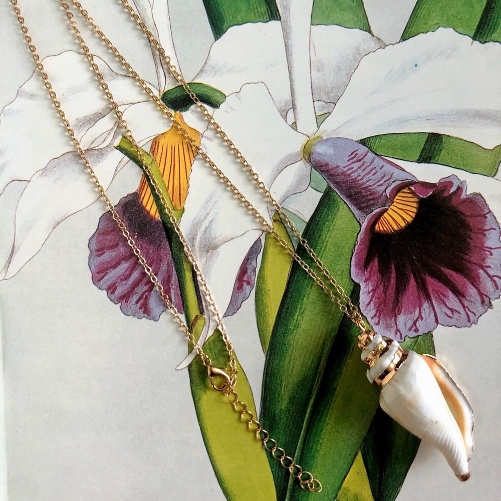 Seashell Necklace